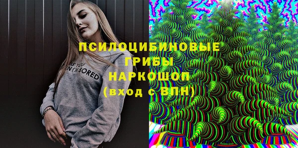 spice Вязьма